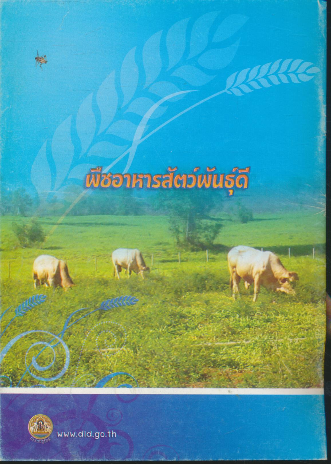 พืชอาหารสัตว์พันธุ์ดี