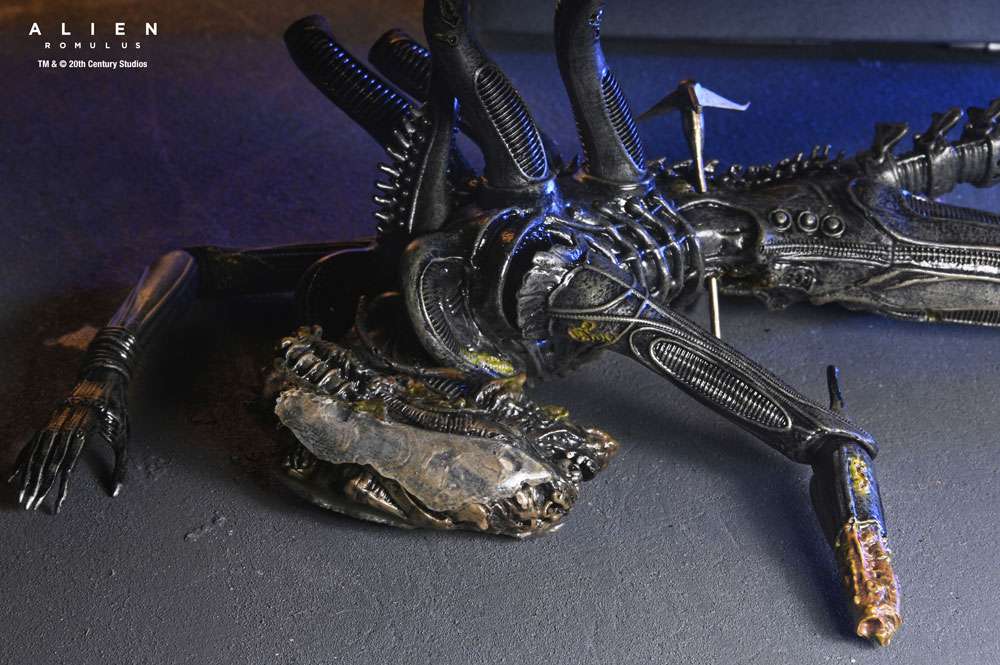 [สั่งจอง] NECA : Romulus Suspended Lab Xenomorph XX121