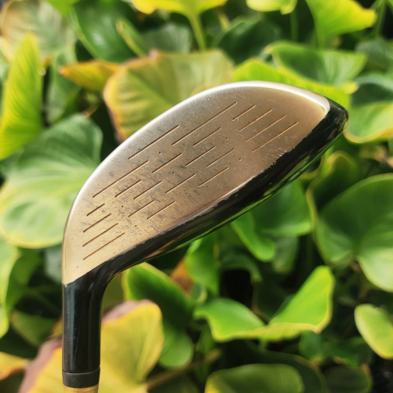 3W VOLTIO สีทอง หรูจัด ตีไกลสุด ๆ เหมาะสำหรับท่านที่สปีดน้อย ต้องการเพิ่มระยะ