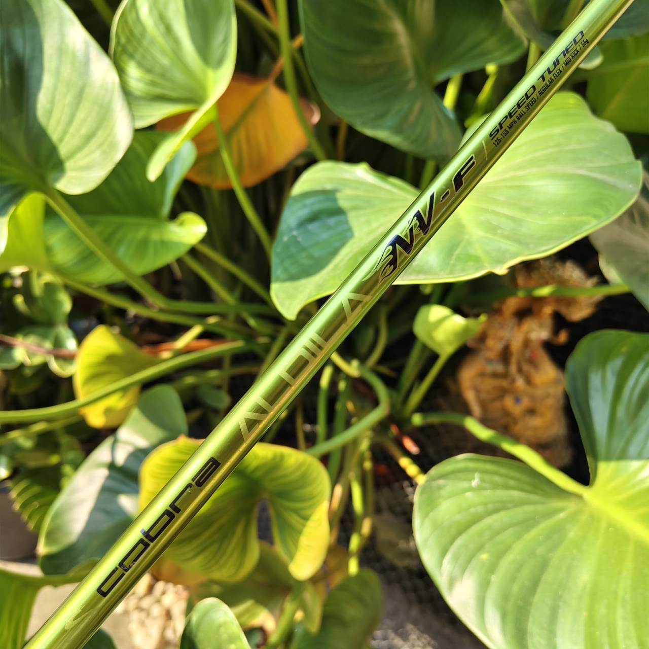 5W King Cobra F/Speed Hyper Steel เสียงใส และตีไกลมากค่ะ มาพร้อมก้าน Aldila NV-F Flex R