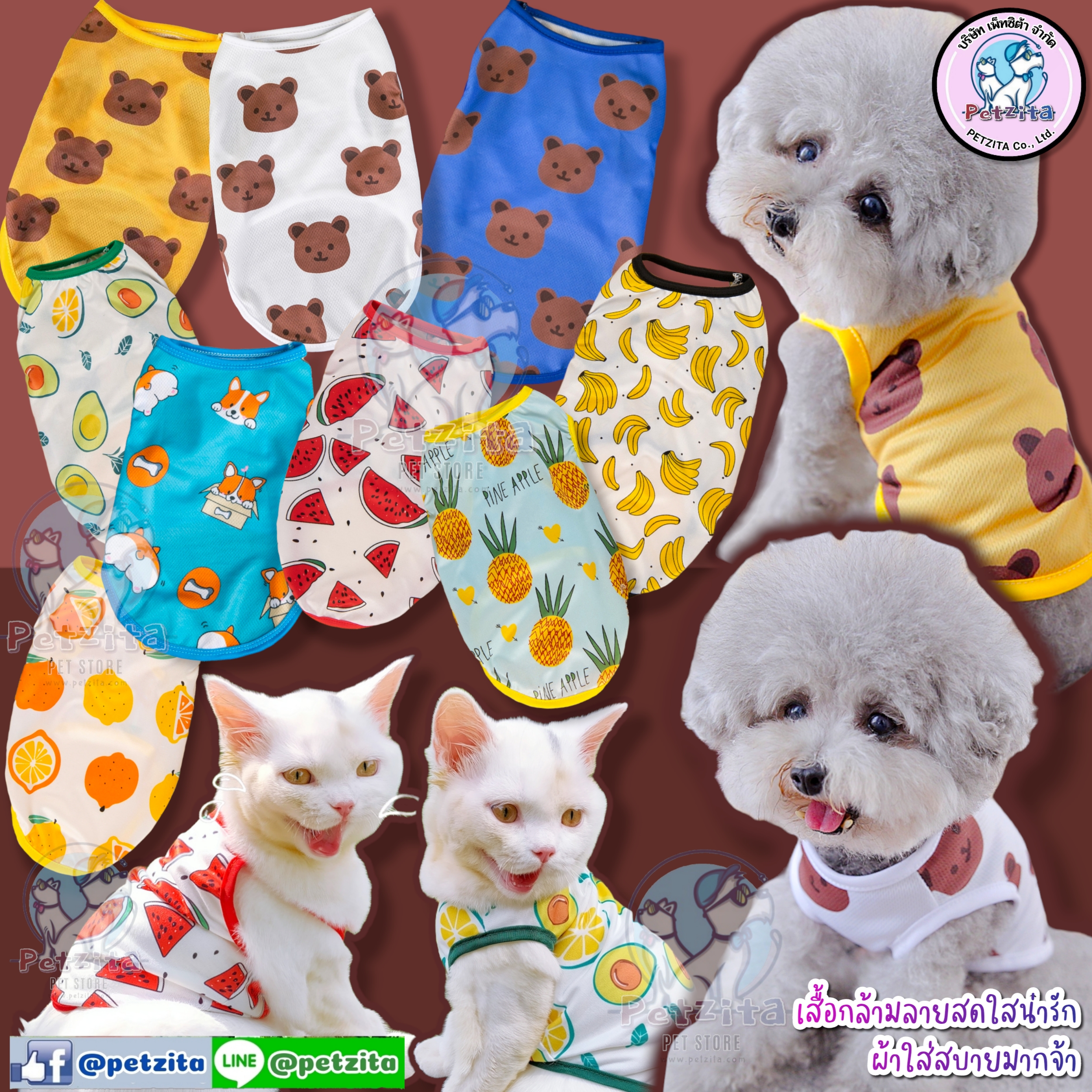 🇹🇭พร้อมส่ง🇹🇭 🍓🍉🍍🐻 เสื้อกล้ามเซ็ทลาย ผลไม้ & หมีบราวน์ น่ารักสุด และ ผ้าใส่สบายมากจ้า /// เสื้อสุนัข ชุดหมา ชุดแมว