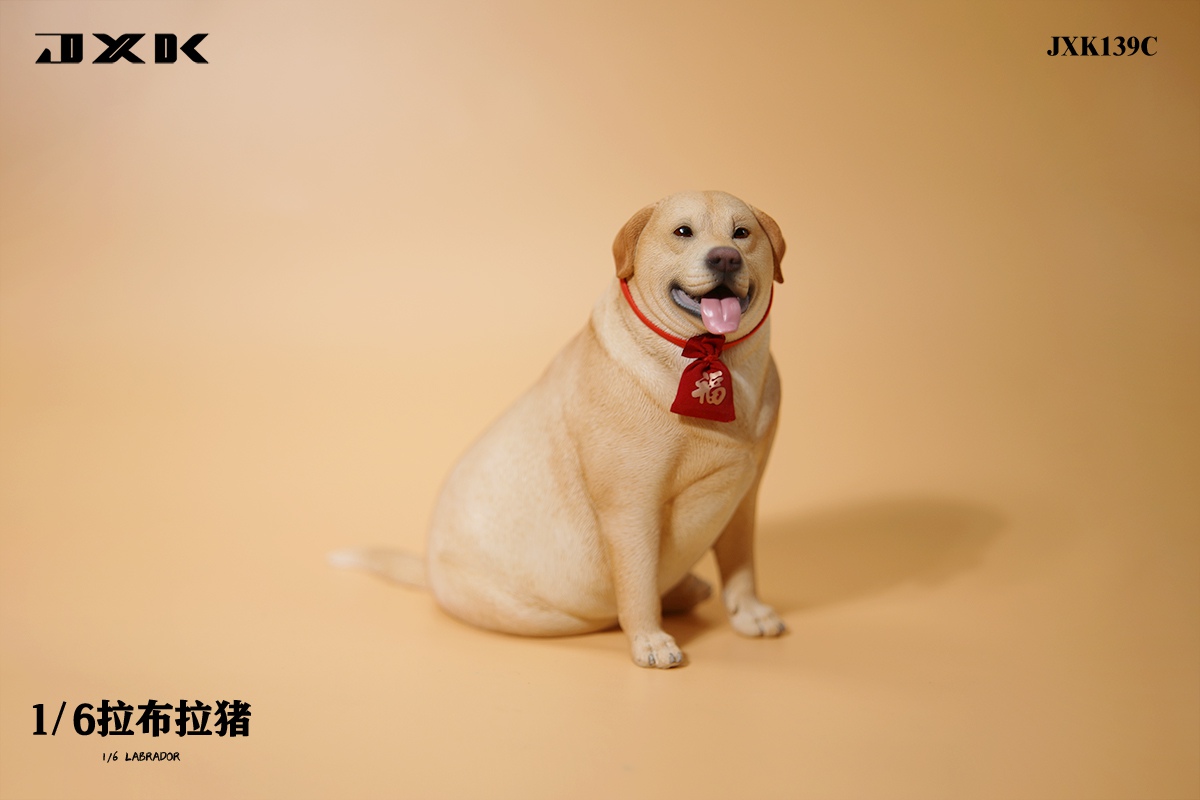 [สั่งจอง]JXK 1/6 : Labrador