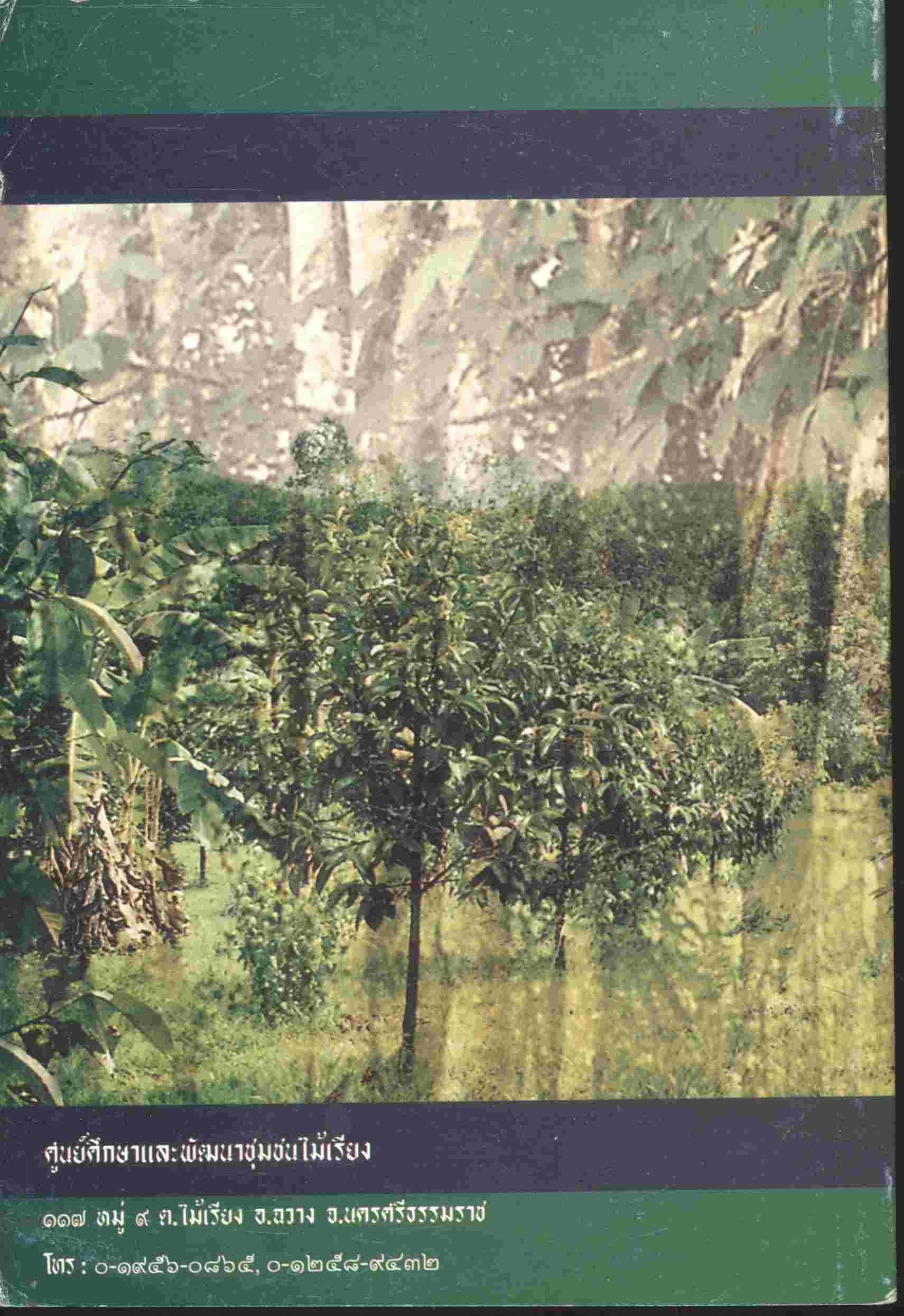 รวมความรู้ ประสบการณ์ และแนวคิด ของ ชุมชนไม้เรียง