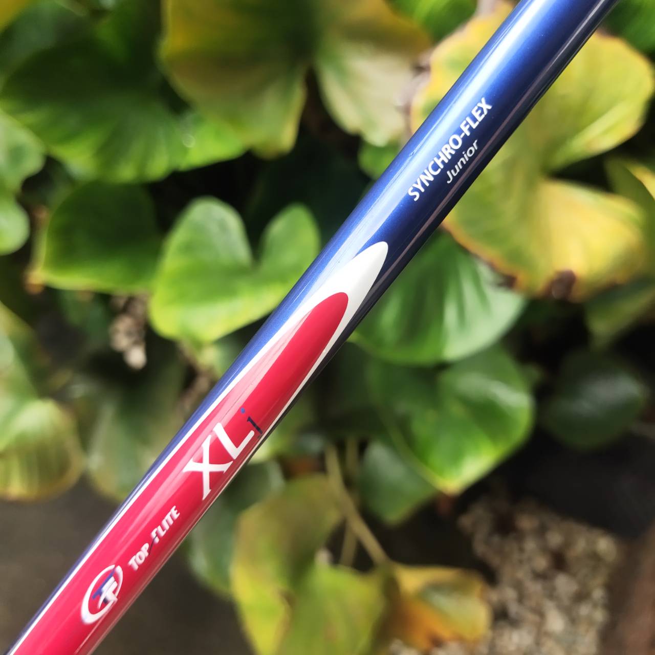 ชุดกอล์ฟเด็ก TOP FLITE XLj เหมาะกับเด็กที่มีส่วนสูงประมาณ: 🔸 135–145 ซม.