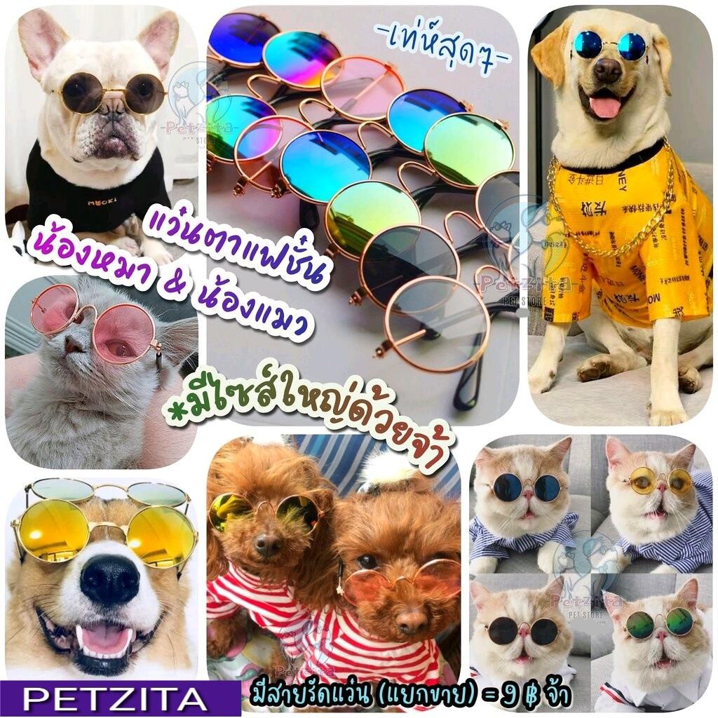 🇹🇭พร้อมส่ง🇹🇭 *มีไซส์ใหญ่ด้วยจ้า 😽🐶 แว่นตาแมว แว่นตาสุนัข พันธุ์เล็ก หมา หมาใหญ่ แมว สัตว์เลี้ยง