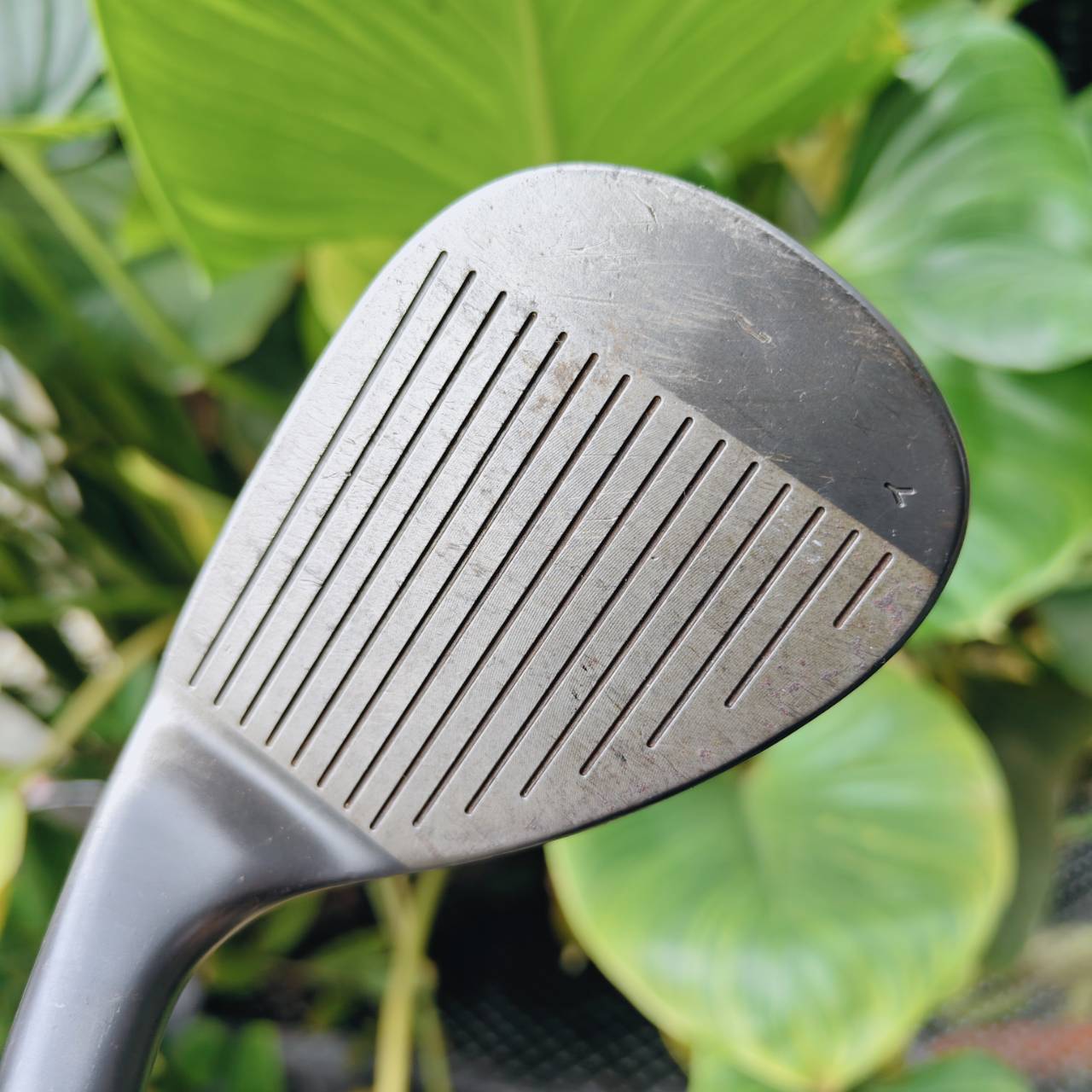 WEDGE TAYLORMADE RAC TP – 56° Bounce 12° เวดจ์ยอดนิยม สำหรับช็อตรอบกรีนและ bunker 🎯