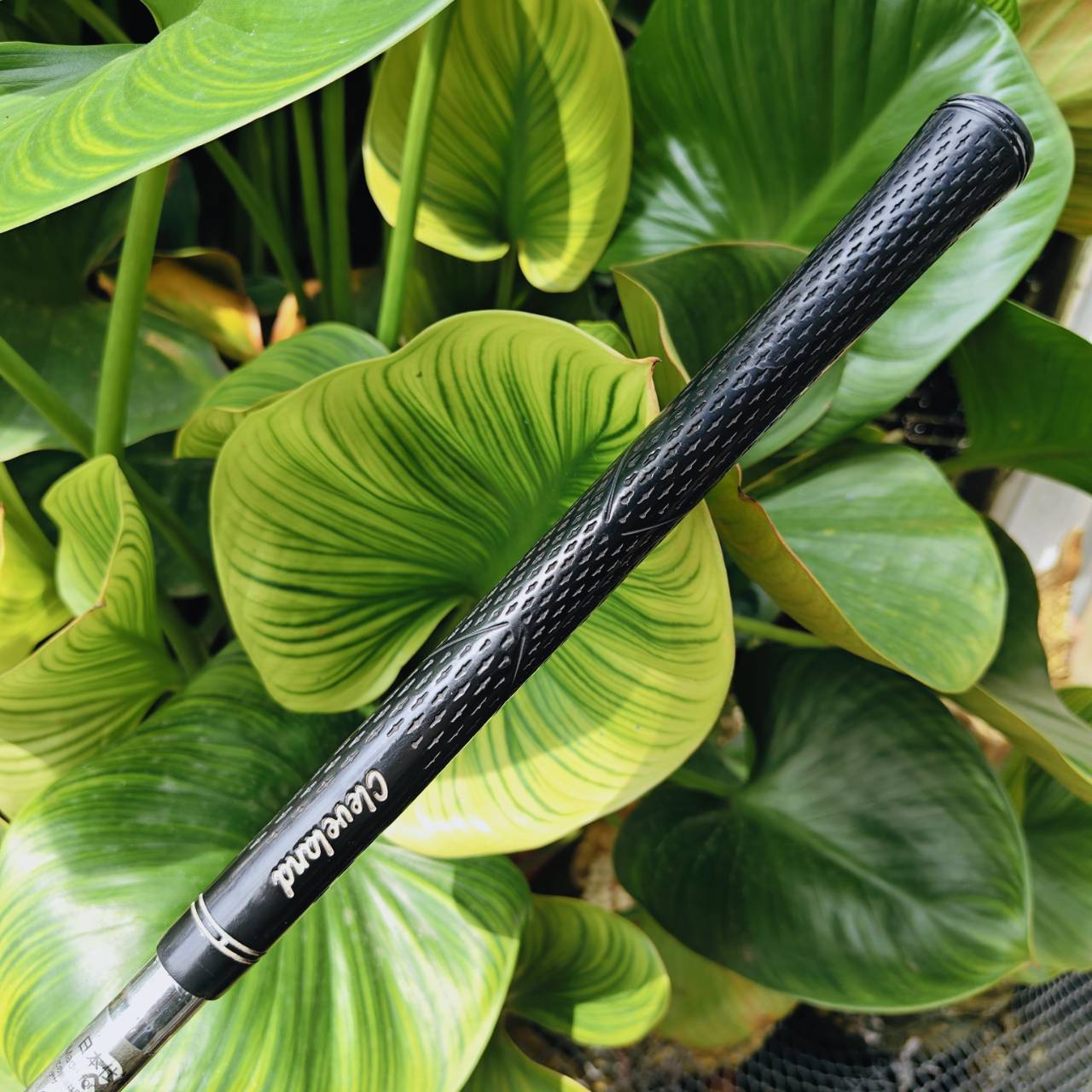 WEDGE CG12 ZIP GROOVE 60° BOUNCE 4 – ช็อตรอบกรีนสุดแม่นยำ ระเบิดทรายได้เหนือชั้น!