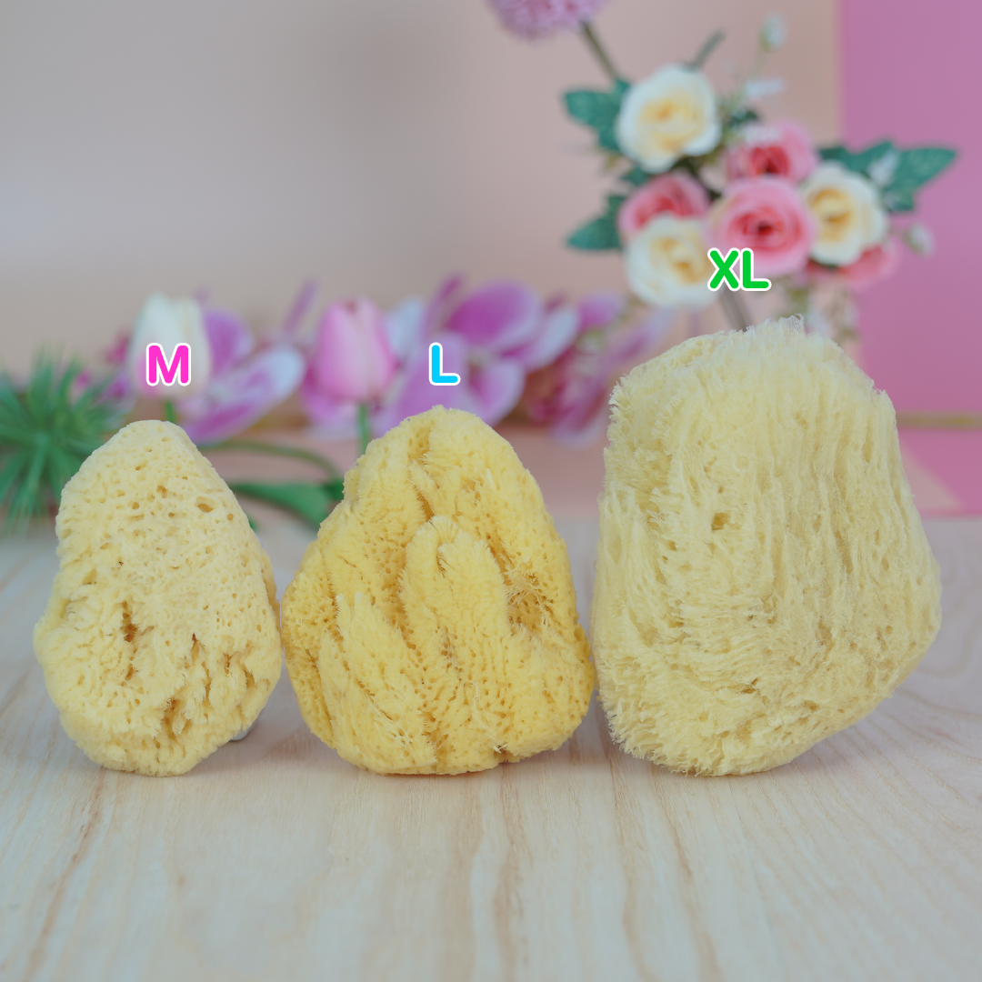 Pureen เพียวรีน ฟองน้ำแท้ธรรมชาติเพียวรีน ไซส์ L