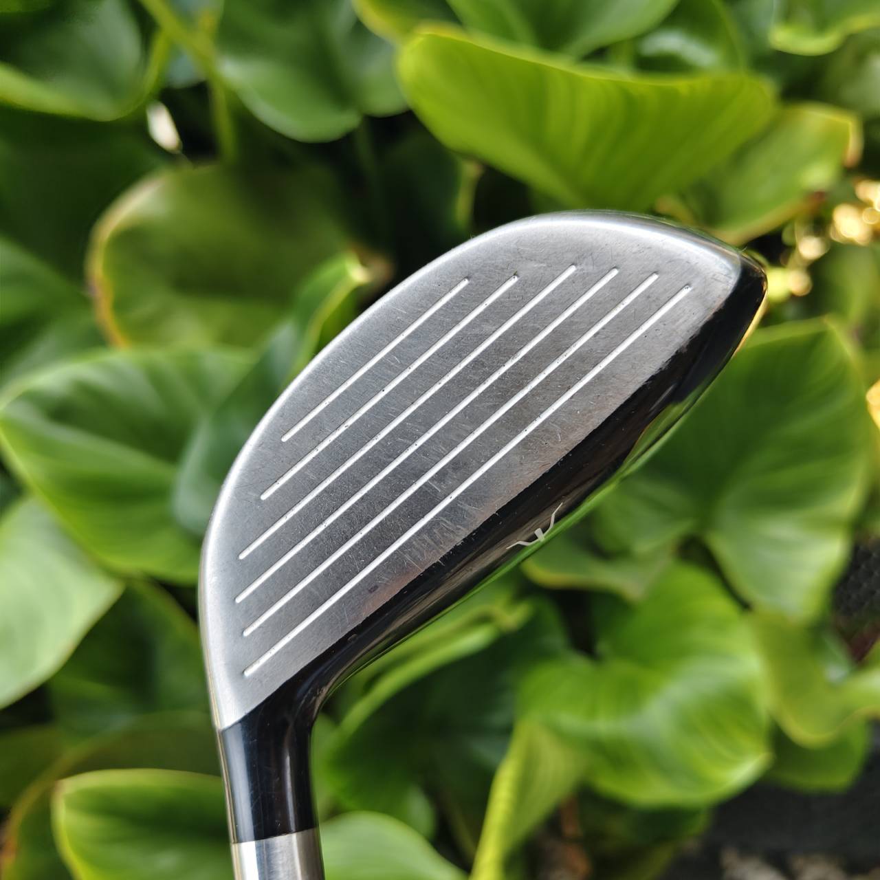 5W Mizuno RV-03 Fairway Wood Loft 19 ก้าน UST Mamiya MJ1 Flex R