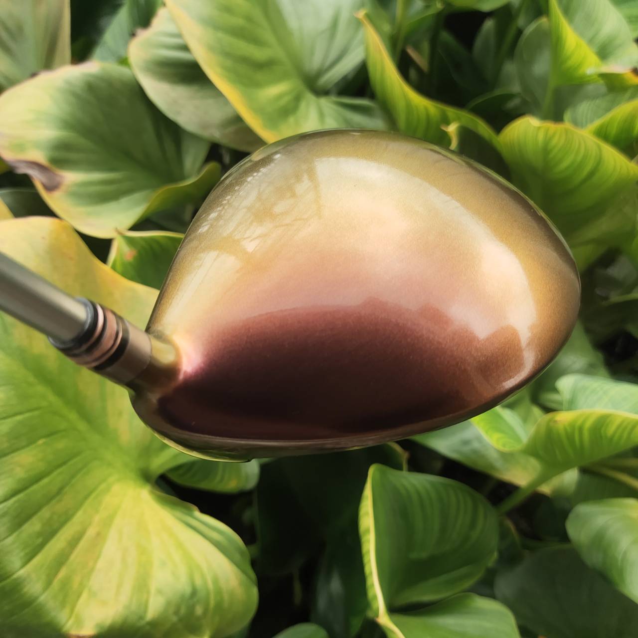 Driver Geotech Quelot RE16 ALPHA-SPEC Premium Limited หัวไม้ตีไกลมากๆ 550 CC แรงที่สุดในตอนนี้