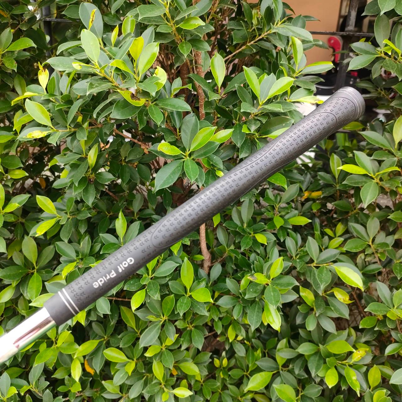 ชุดเหล็ก KING COBRA 3100 I/H มีเหล็ก 4 - 9 เเละ PW ก้าน N.S.PRO 1030H FLEX S เป็นเหล็ก UNDER CUT เน้นๆ ตีง่ายมาก และตีใส่ได้เต็ม ก้าน เต็มคาราเบล มากครับ