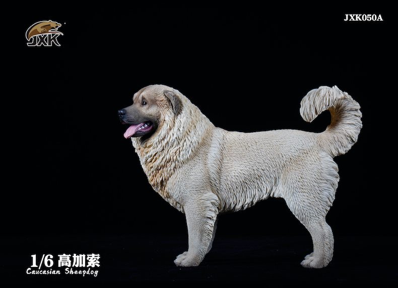 [สั่งจอง]JXK JXK050 1/6 : Caucasian Sheepdog