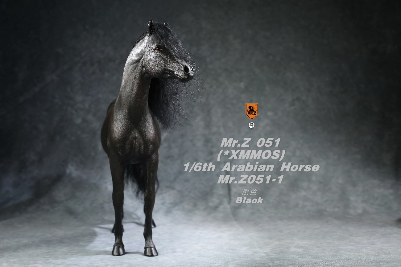 [สั่งจอง]Mr.Z MRZ051 1/6 animal model : Arabian Horse