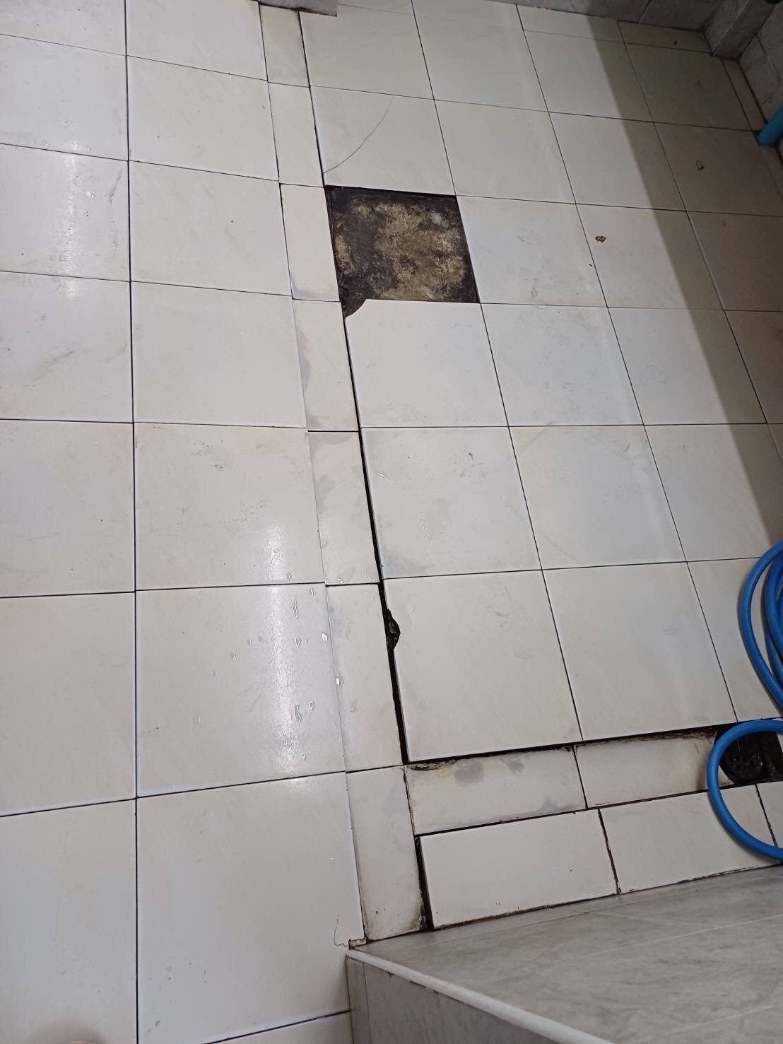 ปรับปรุงห้องน้ำโรงงานโดนัท NK