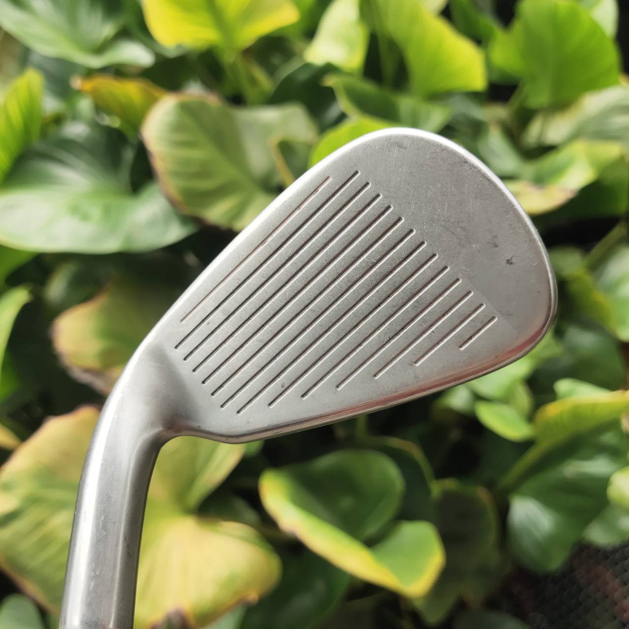 ชุดเหล็ก TaylorMade RBZ “ตีง่าย ระยะดี เทคโนโลยีครบ” เหล็กยาวเหล็กสั้นไม่เหมือนกัน