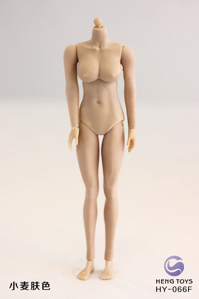 [สั่งจอง]HENG TOYS Seamless Steel Skeleton Joint 1/12 Body total 8 kinds