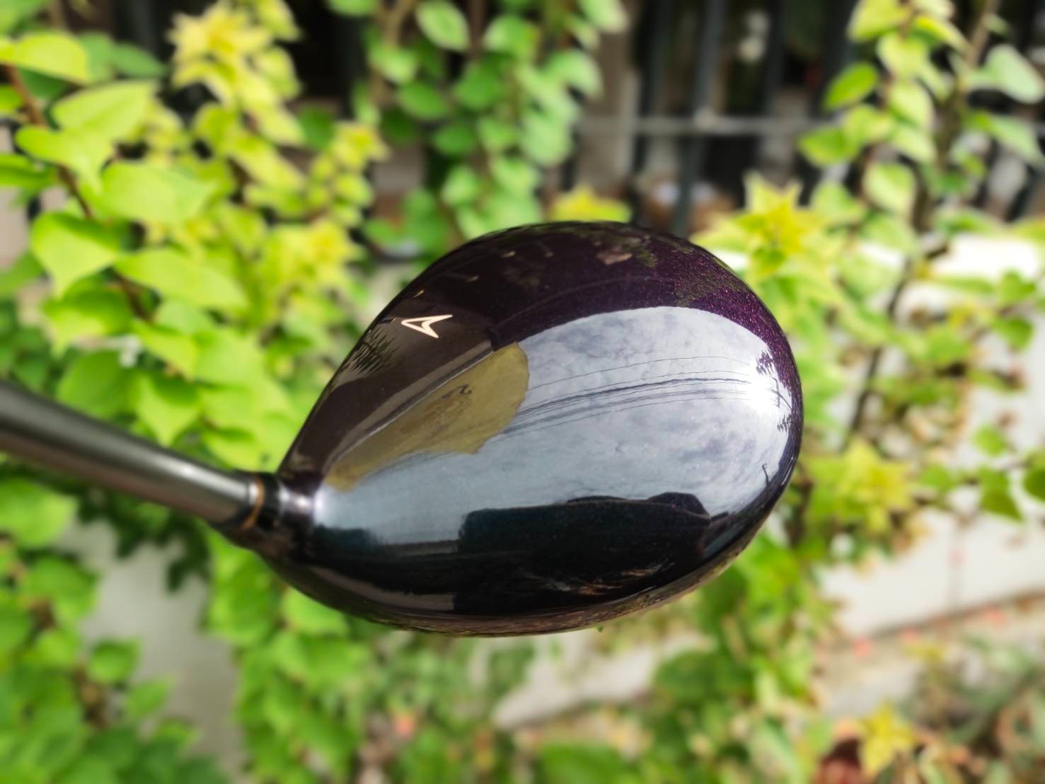 Driver XXIO TWIN AX - SOLE Driver TITANIUM หน้าเด้งตีไกล ก้านสุดพรีเมี่ยม เบามากๆ