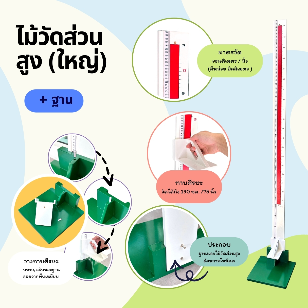 ไม้วัดส่วนสูงแบบตั้งพื้น มีไม้ทาบศีรษะ สำหรับโรงพยาบาล โรงเรียน ไม้วัดส่วนสูงเด็ก