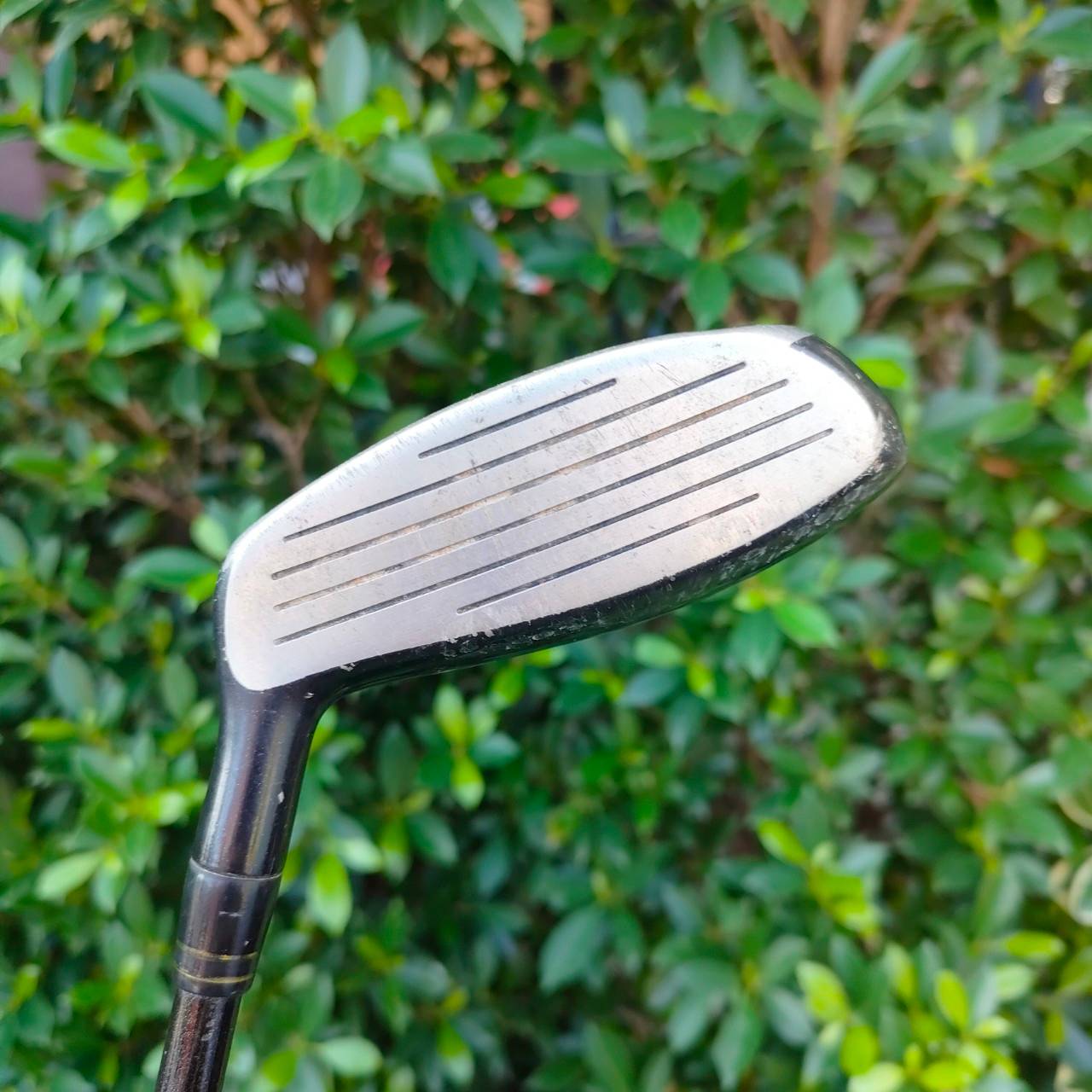 FW5 WILSON 1200 TR ก้าน 1200TR FLEX R องศา 18 หัวแบนๆ ฟีลลิ่งดี ลูกลอยง่าย