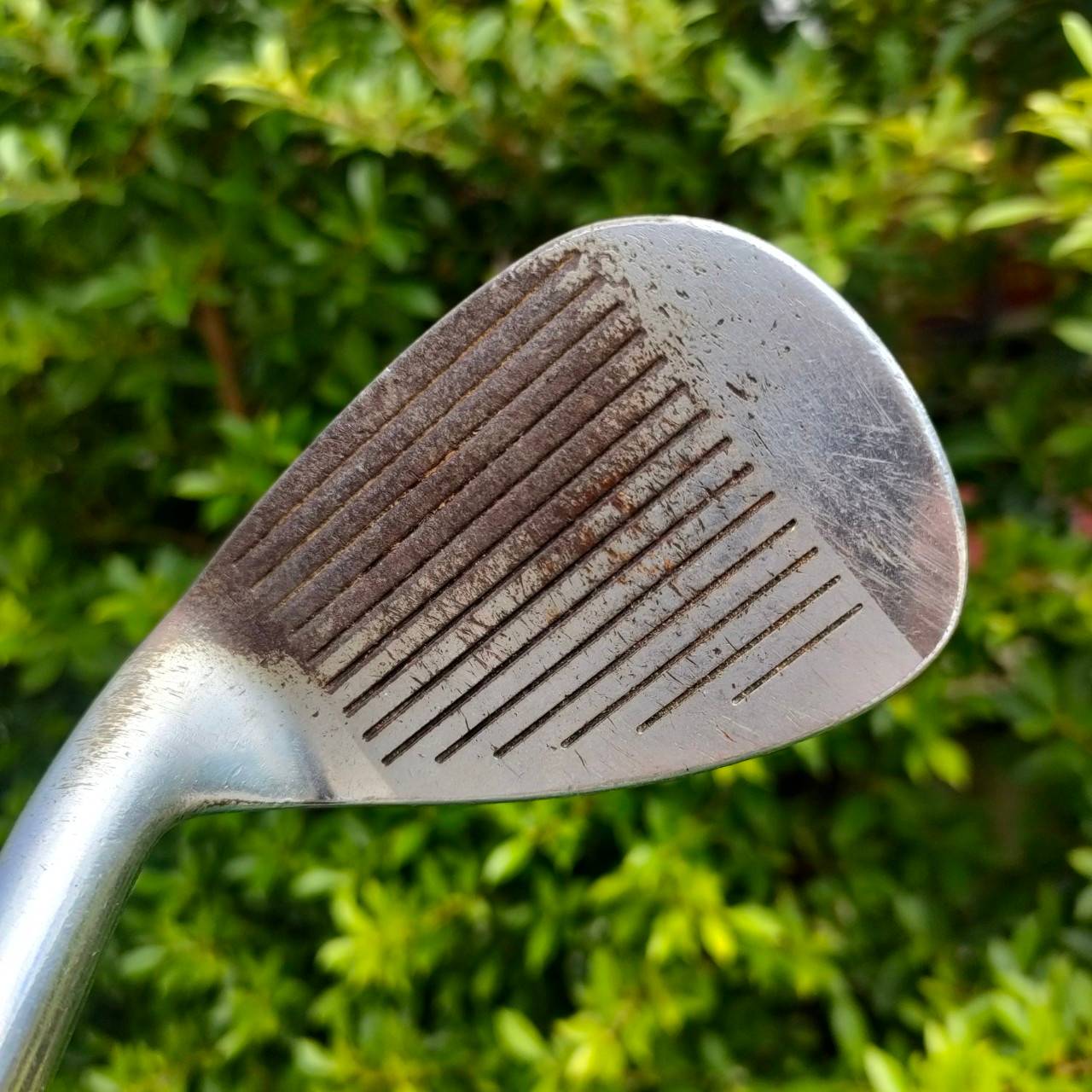 SW MIZUNO GRAD P-FORGED องศา 56 FLEX WEDGE เหล็ก พรีเมี่ยม FORGED จาก JAPAN เนื้อนุ่ม ระเบิดทรายดีมาก!!! ไม้กอล์ฟมือสอง ของแท้ BY NakaraLuxurious