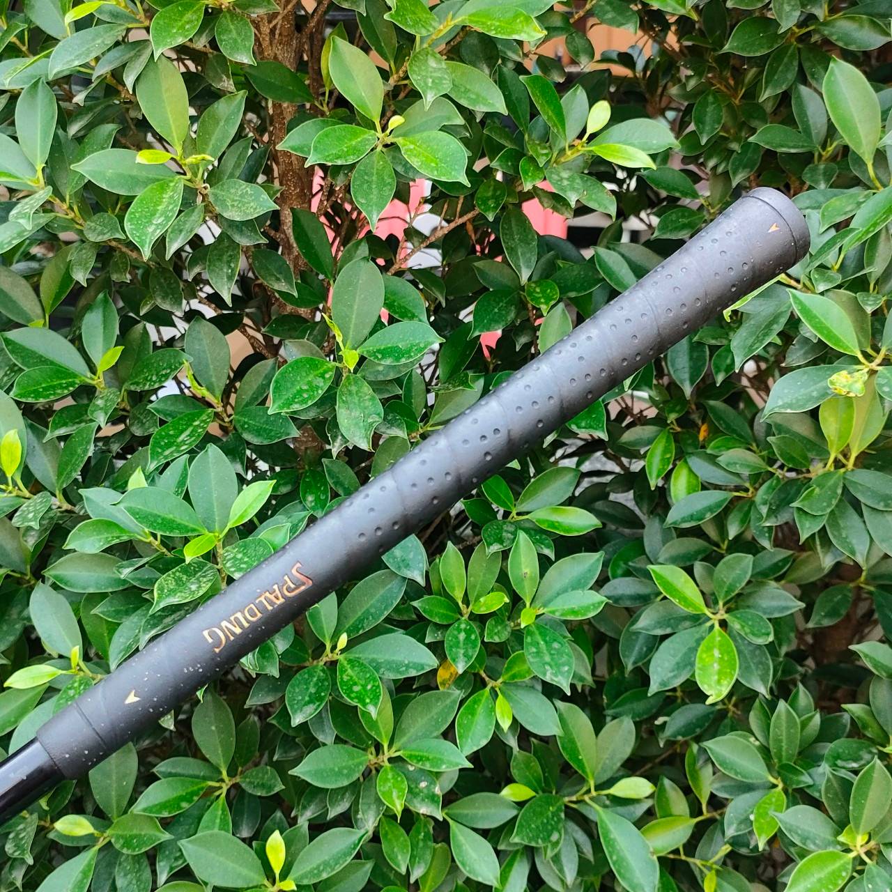 ชุดเหล็ก SPALDING DOT PLUS TOUR MODEL มีเหล็ก 3-9 เเละ PW SW ก้าน SPALDNG FLEX R ตีง่ายมาก คุณภาพเยี่ยม