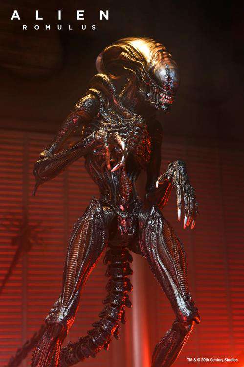[สั่งจอง] Neca : Alien - Romulus