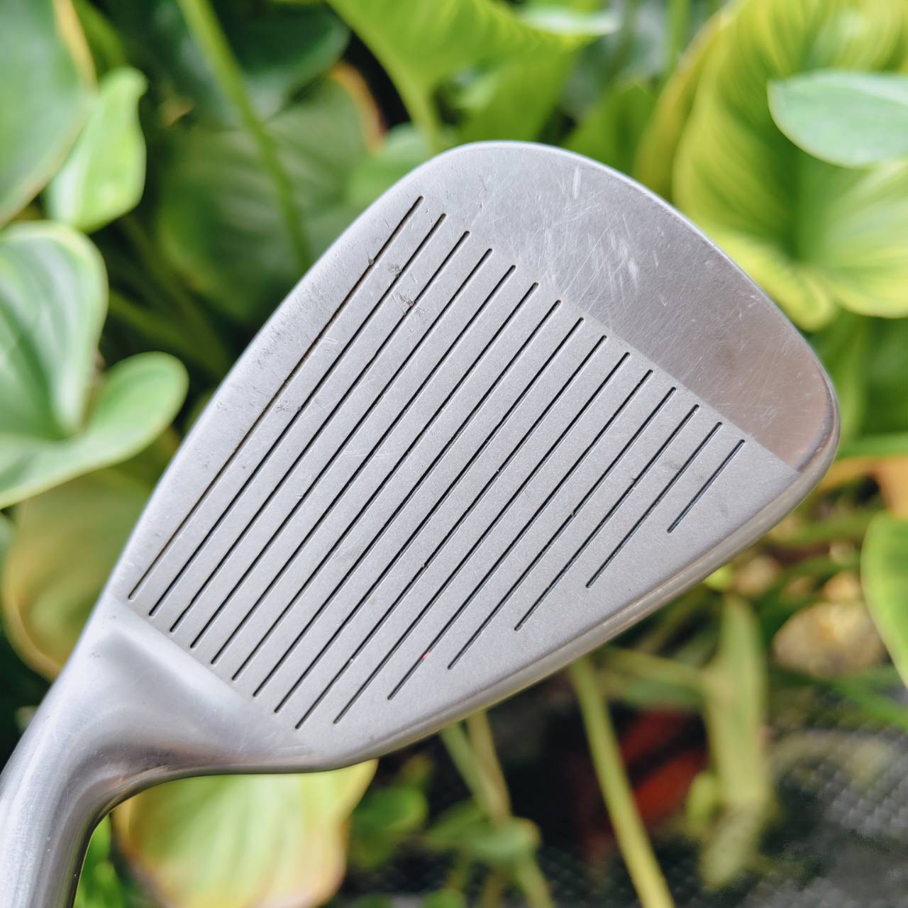 ชุดไม้กอล์ฟครบชุด WILSON DYNA-PULSE – พร้อมลุยทุกสนาม! ไม้ครบเซ็ต ตีง่าย