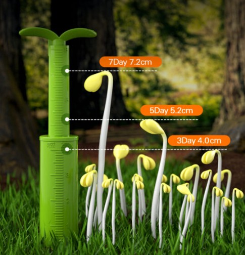 ชุดปลูกพืช สำหรับเด็ก ของเล่นเสริมพัฒนาการ, สื่อการสอนเด็กอนุบาล ,ของเล่นเสริมพัฒนาการ ของเล่นเด็ก พร้อมส่ง