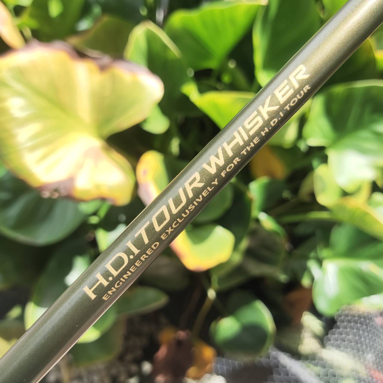 เหล็ก 2 DAIWA CARBOREX ตีง่ายมากๆ หน้าไม้เป็นคาร์บอน เคฟล่า ตีทั้งเด้ง ทั้งสปินสูงจัด!!!