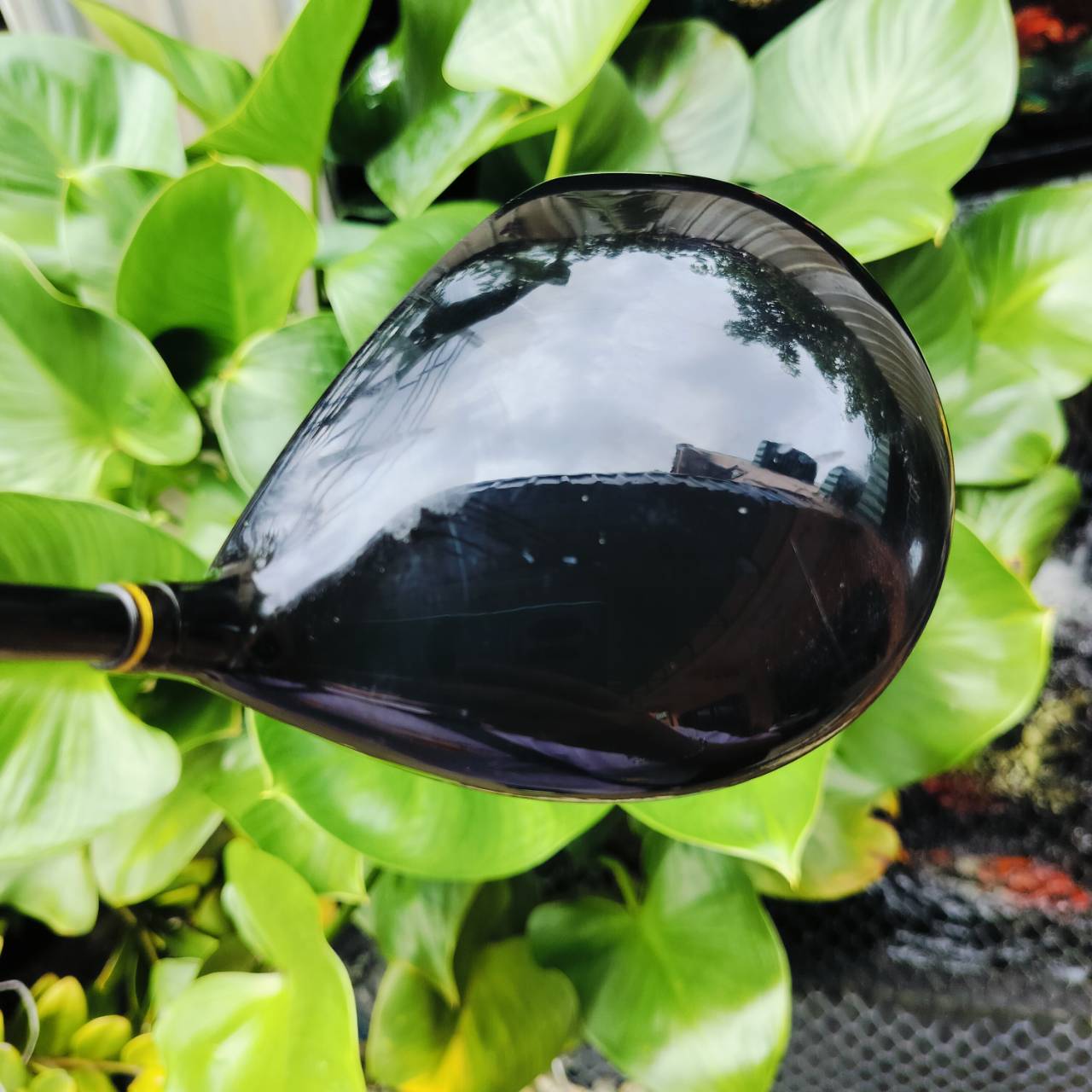 Driver KASCO POWER TORNADO D-MAX 460 องศา 10.5 ก้านเบาแค่ 42 กรัม ยาว 46 นิ้ว FLEX R สเปคให้มาแบบตีไกลชัวๆ เพราะก้านเบา สามารถเร่งสปีดได้ และก้านก็ยาว ตีไกลขึ้นแน่ ไม้กอล์ฟมือสอง ของแท้ By NakaraLuxurious