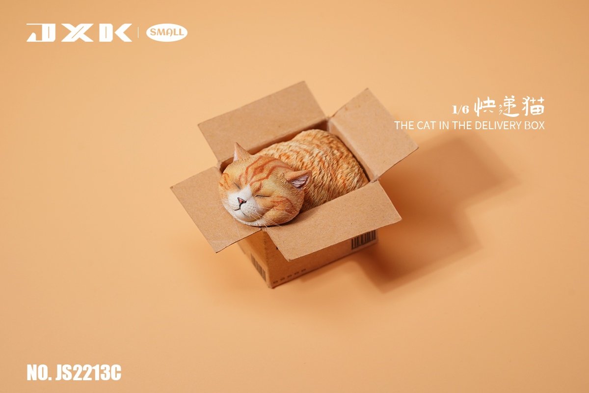 [สั่งจอง]JXK small JS2213 1/6 : The Cat In The Delivery Box
