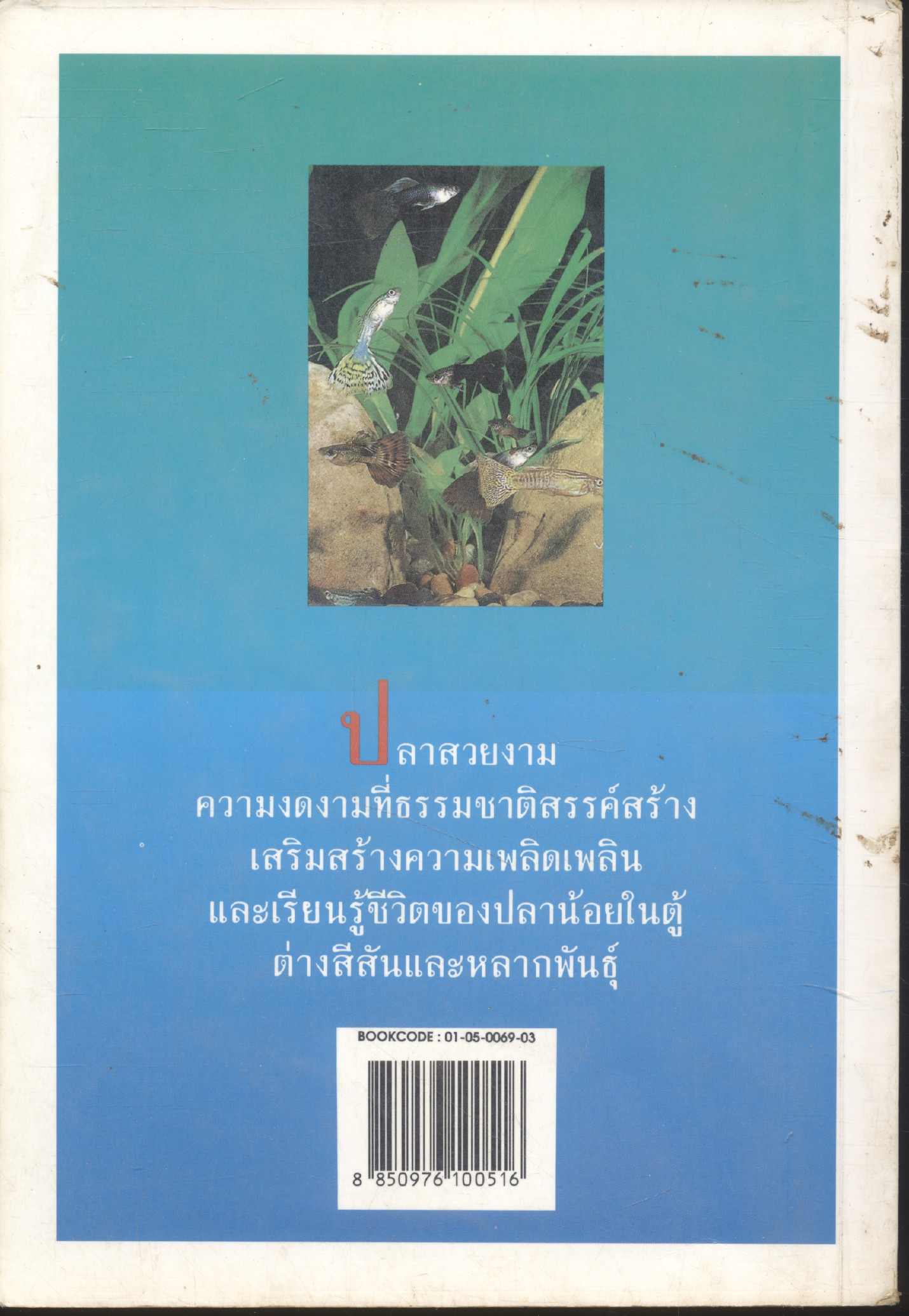 คู่มือเลี้ยงปลาตู้สวยงาม