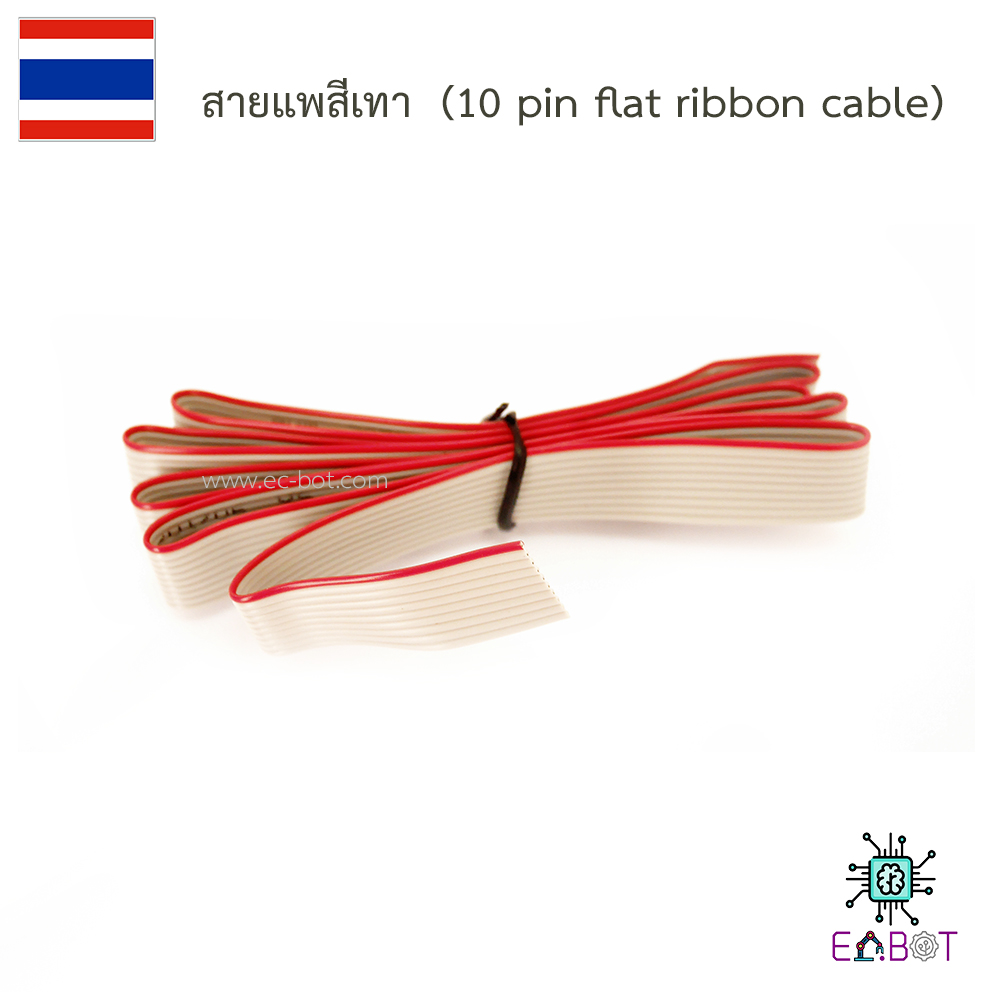 สายแพรสีเทา (10 pin flat ribbon cable)