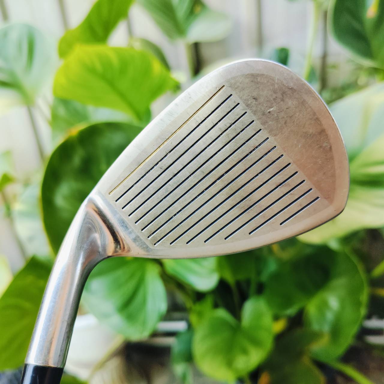 WEDGE เด้ง MIZUNO NOTUS FLOP WEDGE องศาประมาณ 58 มีแผ่นหน้าเด้งที่หน้าใบด้วยค่ะ ไม้กอล์ฟพรีเมี่ยมมือสอง ของแท้ By NakaraLuxurious