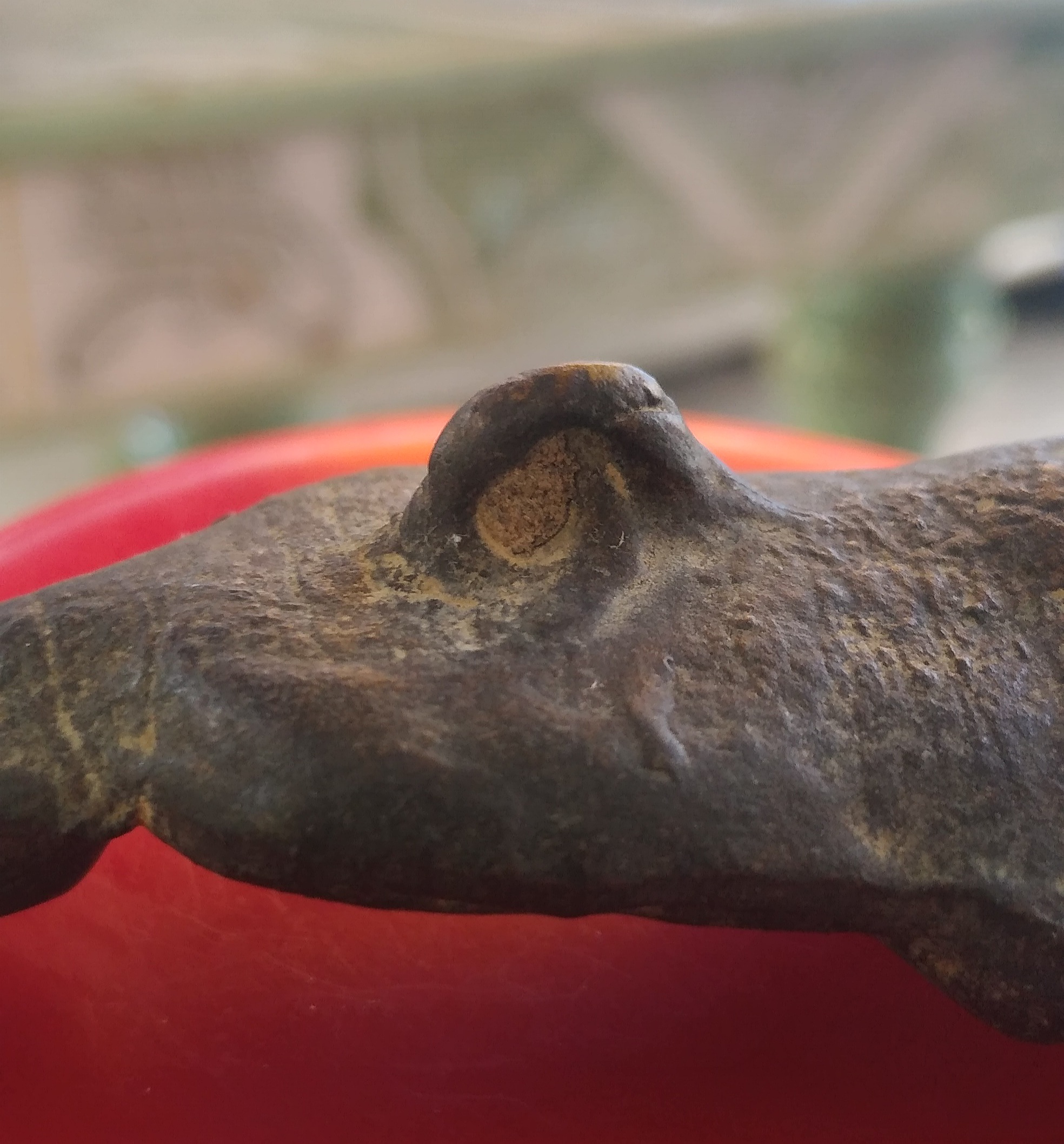 โปรไฟลุก🔥 พระงั่ง พระชัย คอช้าง