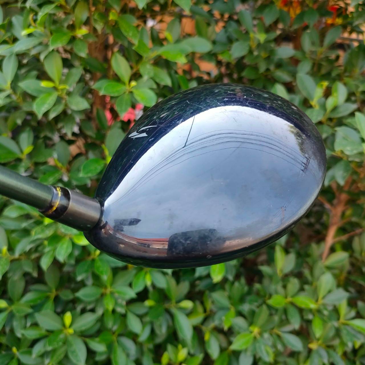 DRIVER PRGR H/S REVERSE CONCEPT องศา 10.5 ก้าน DATA055 FLEX BUTT วัสดุ BETA FORGED TITANIUM ตีดีมากๆ พรีเมี่ยมญี่ปุ่นครับ