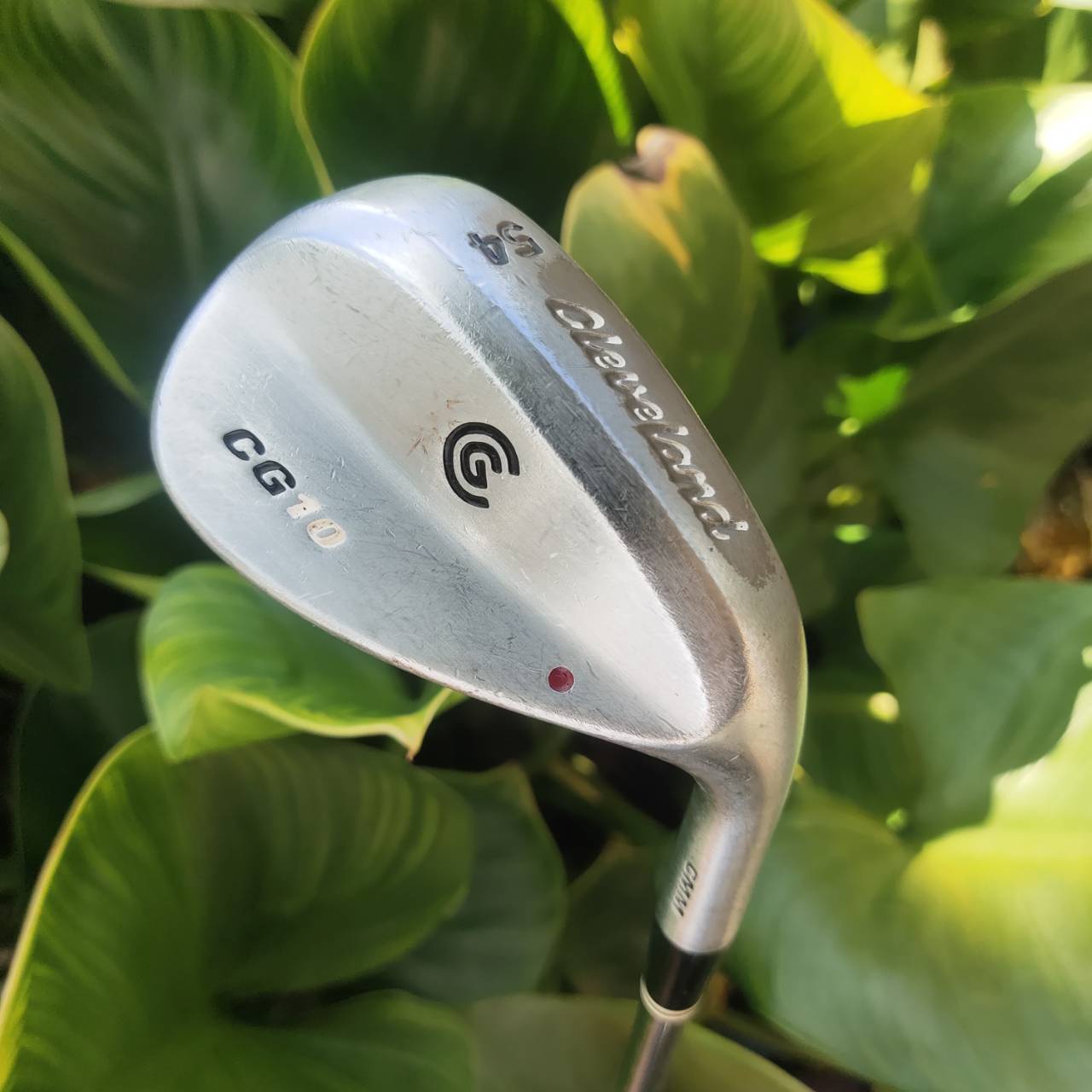 WEDGE CLEVELAND CG10 องศา 54 หนึ่งจุด LOW BOUNCE หน้าใบยังสวย ร่องทำงานได้เต็มที่ ตกหยุดๆ