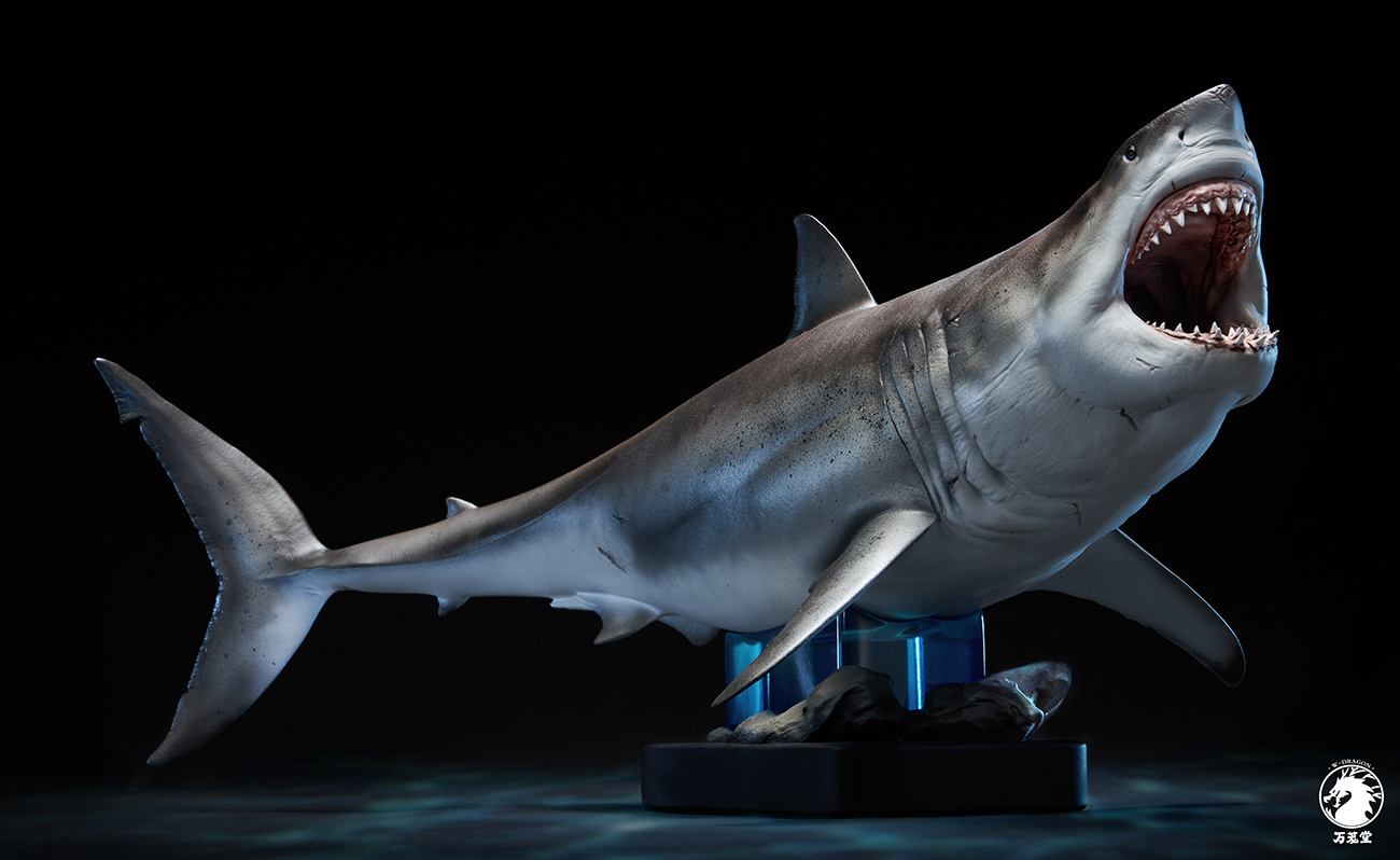 [สั่งจอง]W-Dragon 1/18 : Great White Shark