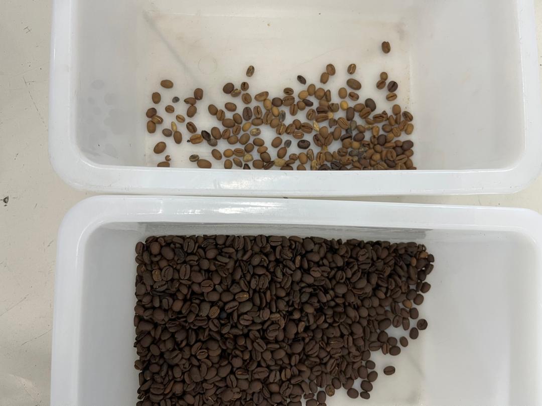 เครื่องยิงสีเมล็ดกาแฟคั่ว color sorter mini