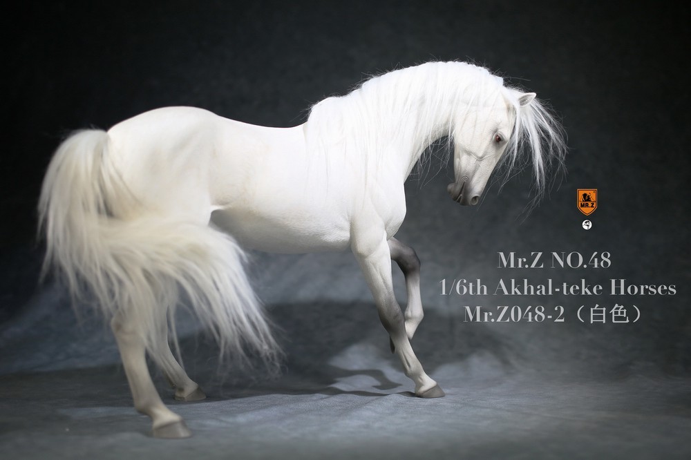 [สั่งจอง] Mr.Z Mr.Z048 1/6th animal model : Horse