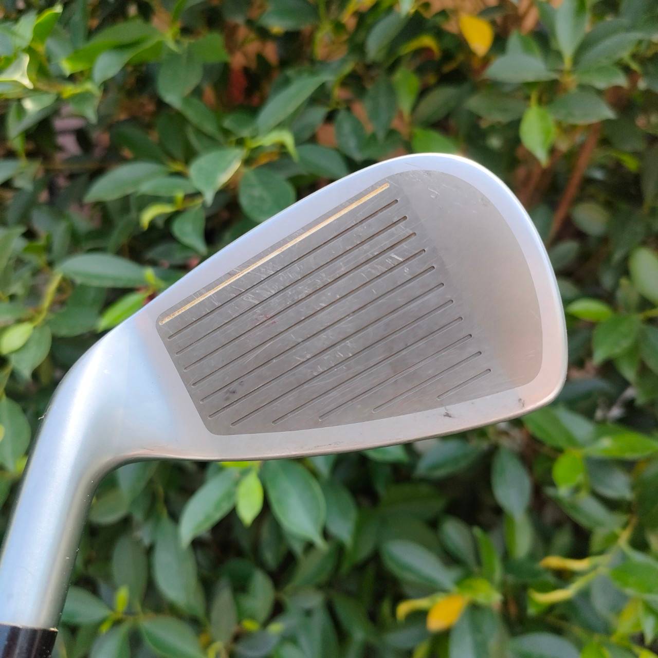 ** ไม้กอล์ฟสำหรับผู้หญิง ** เหล็ก 7 HONMA TWIN MARKS AP-301 MRS ก้าน ACCELERATE FORCE FLEX L