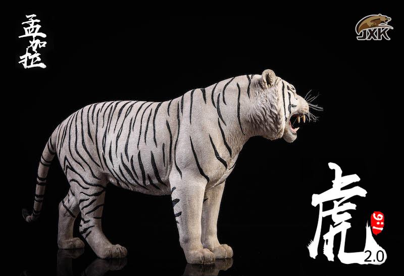 [สั่งจอง]JXK.Studio 1/6 JXK020A yellow Bengal tiger & JXK020B white Bengal tiger