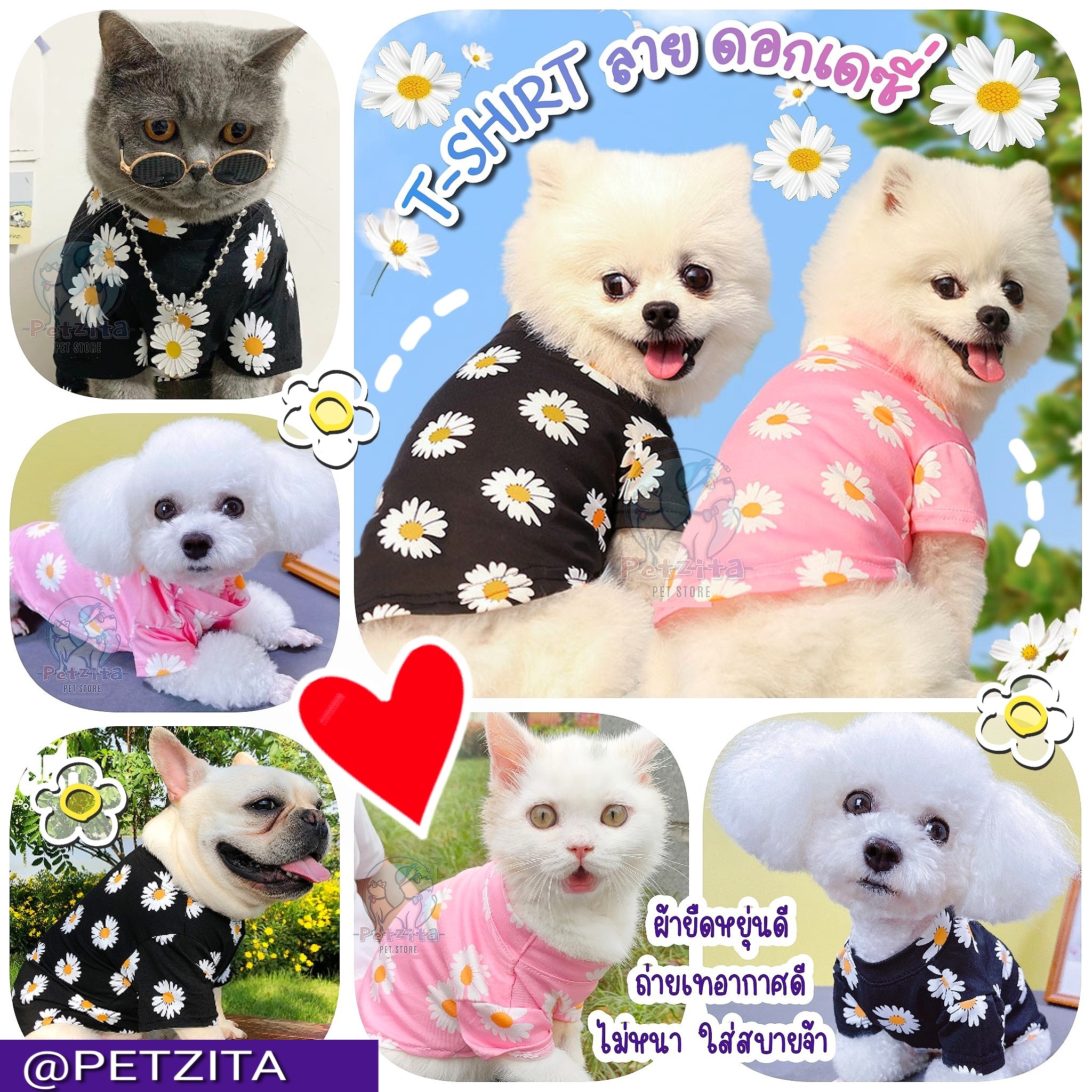 🇹🇭พร้อมส่งจ้า🇹🇭 💮🌸👕 เสื้อ T-Shirt ลายดอกเดซี่ เสื้อสัตว์เลี้ยง 🐶🐱 for pet ชุดสุนัข หมา ชุดแมว