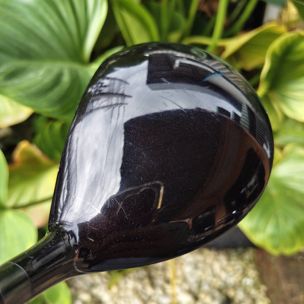 5W MARUMAN SHUTTLE – MARAGING M-SOLE (หน้าไม้ Maraging) บางพิเศษ เด้งมาก!