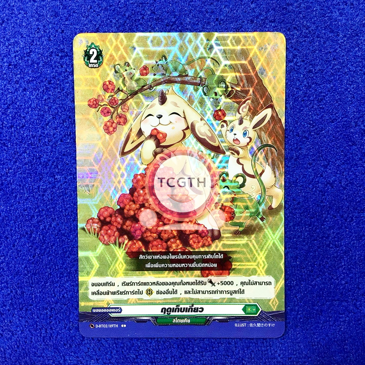 ฤดูเก็บเกี่ยว