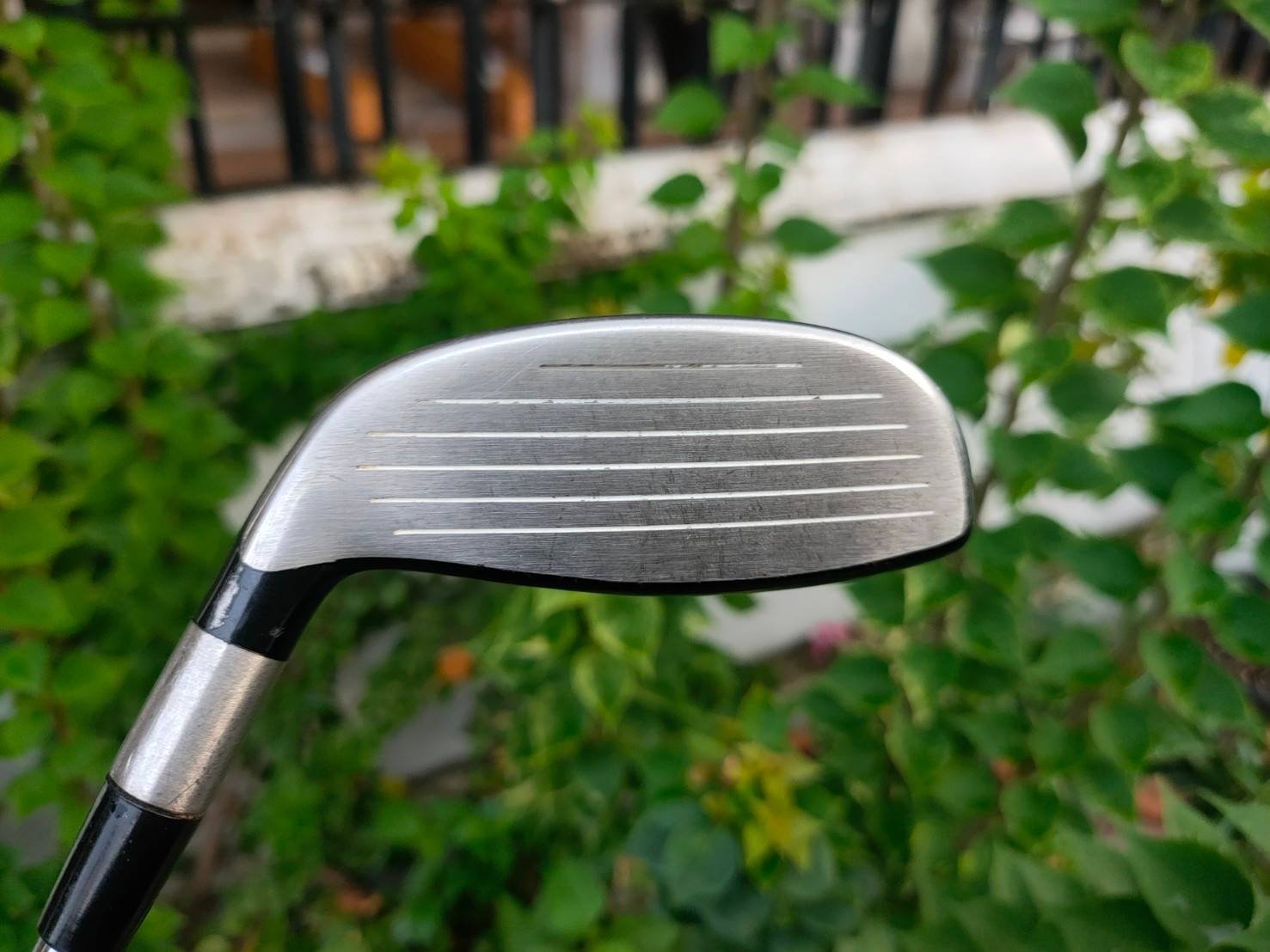 HYBRID TITLEIST VG3