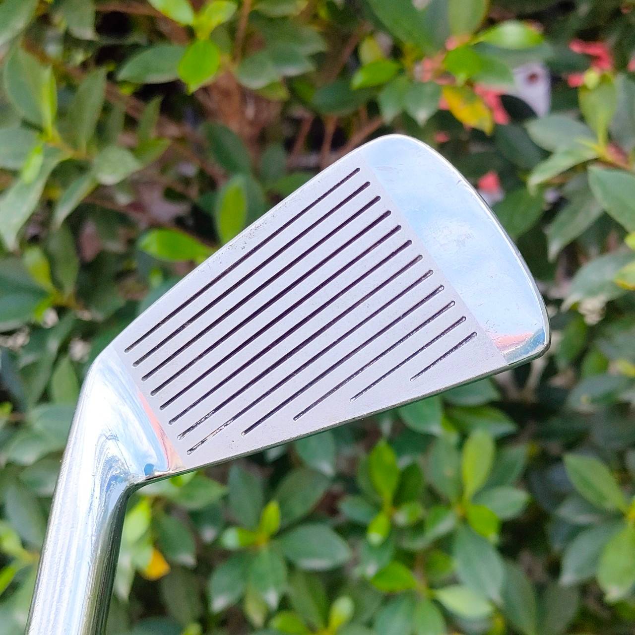 ชุดเหล็ก VOG CUSTOM มีเหล็ก 3-9 เเละ PW SW ก้าน DYNAMIC R กริพสวยมากทุดชิ้น เหล็ก FORGED นุ่มๆ สปินจัดๆ ตีมันส์ๆครับ