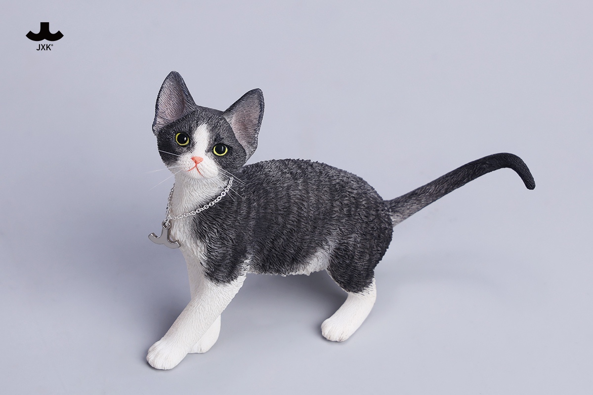 [สั่งจอง]JXK 1/6 : Devon Rex Cat Figurine V4