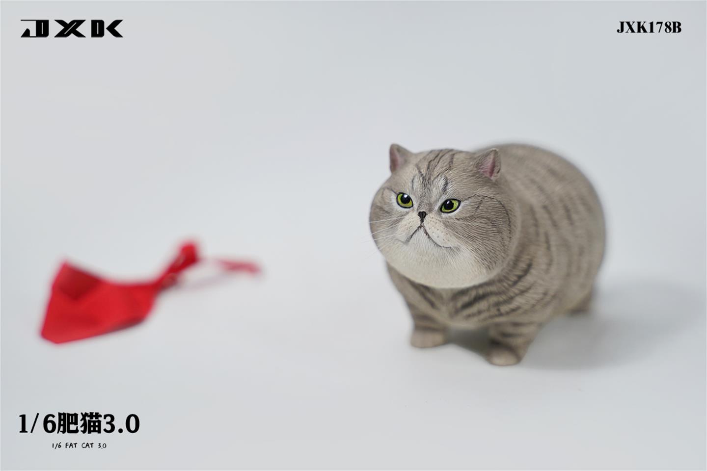 [สั่งจอง]JXK : Animal