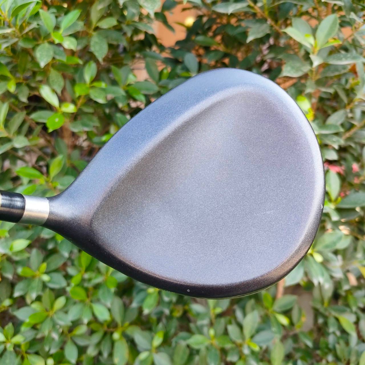 DRIVER CLEVELAND HIBORE องศา 9.5 ก้าน MATRIX OZIL FLEX R